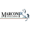 ماركوني ستاليونز